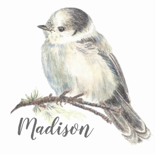 Waterverf Grijs Jay Vogel Natuur Aangepaste naam Sticker (Voorkant)