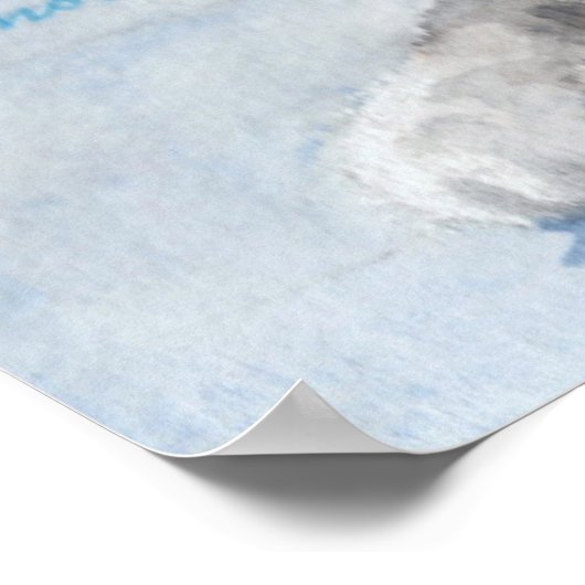 Waterverf grijze witte kat poster (Hoek)