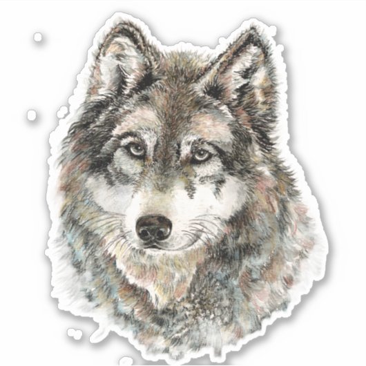 Waterverf Grijze Wolf Natuur in het wild Sticker (Voorkant)