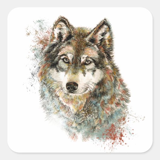 Waterverf Grijze Wolf Natuur in het wild Vierkante Sticker (Voorkant)