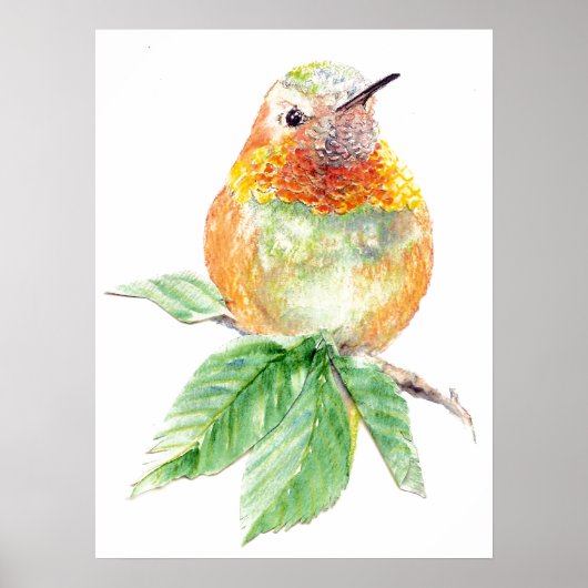 Waterverf grillige Rufous Hummingbird attitude Poster (Voorkant)