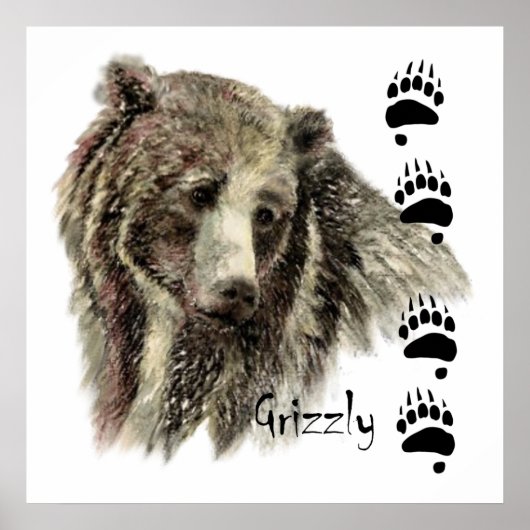 Waterverf Grizzly Beer Wildlife Natuur Art Poster (Voorkant)
