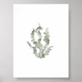 Waterverf groen zeewier  print (Voorkant)
