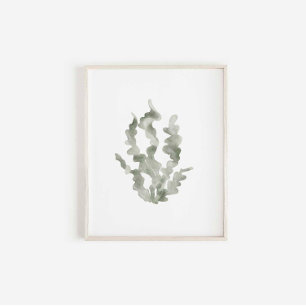 Waterverf groen zeewier  print