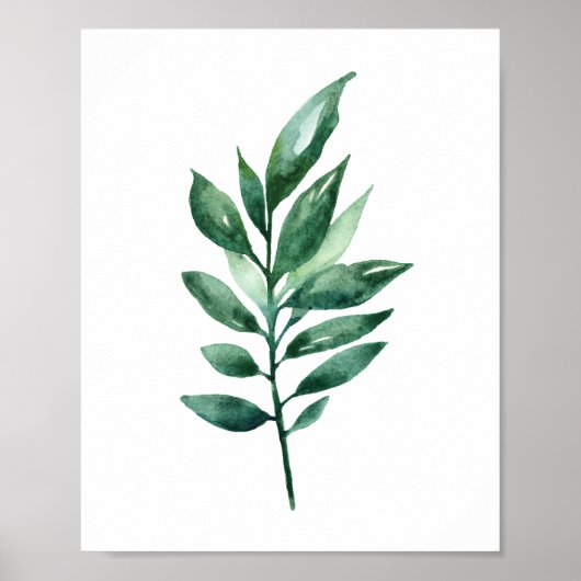 Waterverf groene bladeren. Botanische kunst. Tuin Poster (Voorkant)