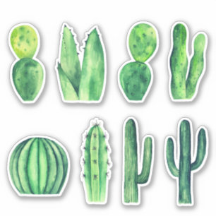Waterverf groene cactus. Succulenten. botanisch Sticker