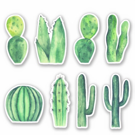 Waterverf groene cactus. Succulenten. botanisch Sticker (Voorkant)