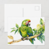 Waterverf Groene Parrot op een boomtak Briefkaart (Voorkant / Achterkant)