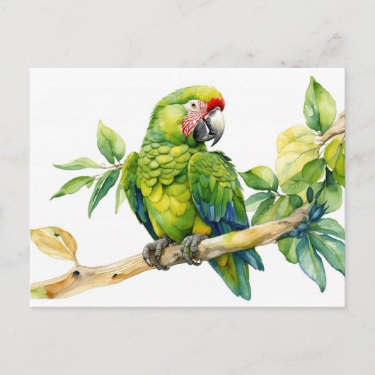 Waterverf Groene Parrot op een boomtak Briefkaart (Voorkant)
