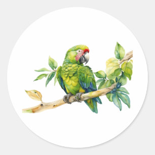 Waterverf Groene Parrot op een boomtak Ronde Sticker