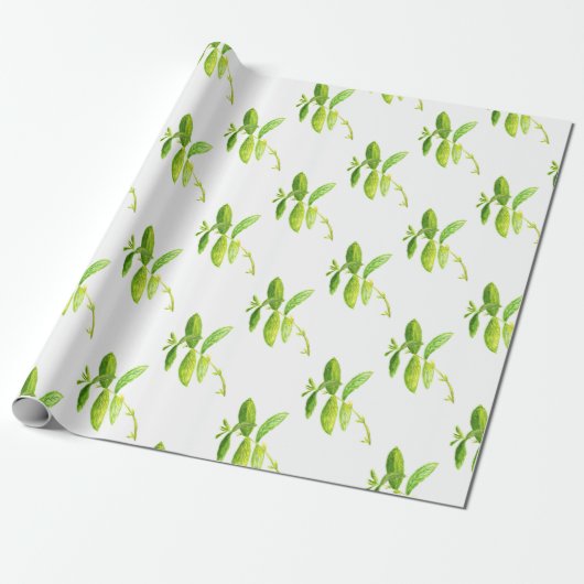 Waterverf Groene tuinkeuken met plant Cadeaupapier (Uitgerold)