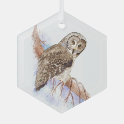 Waterverf Grote Grijze vogelgriep Glas Ornament (Voorkant)