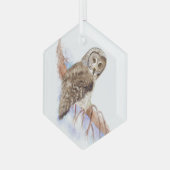Waterverf Grote Grijze vogelgriep Glas Ornament (Voorkant links)