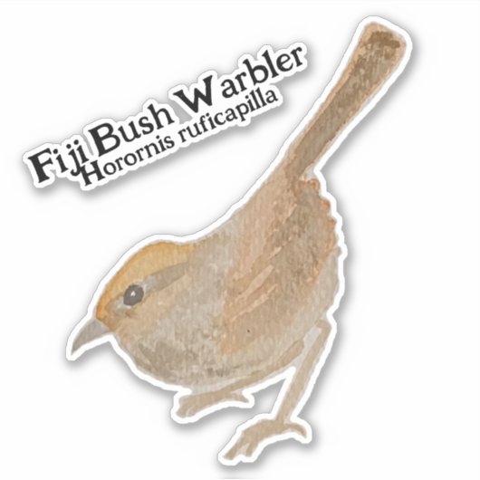 Waterverf H. ruficapilla Fiji Struik Warbler Sticker (Voorkant)