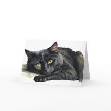 Waterverf Halloween Zwarte Kat
