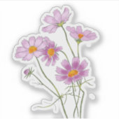 Waterverf Handgeschilderd Elegante Roze Kosmos Sticker (Voorkant)
