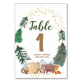 Waterverf Happy Camper 1st Birthday Table Number Kaart