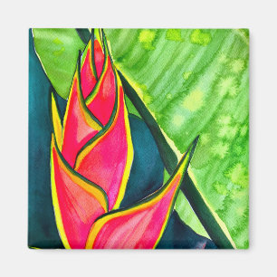 Waterverf heliconia tropische bloem magneet
