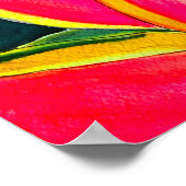 Waterverf heliconia tropische bloem poster (Hoek)