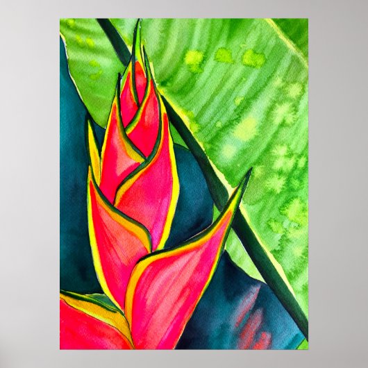 Waterverf heliconia tropische bloem poster (Voorkant)