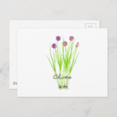 Waterverf herb chives illustratie briefkaart (Voorkant / Achterkant)