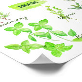 Waterverf Herb Collectie Poster (Hoek)