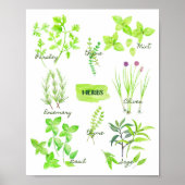 Waterverf Herb Collectie Poster (Voorkant)