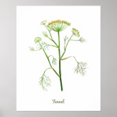 Waterverf Herb Fennel Illustratie Poster (Voorkant)