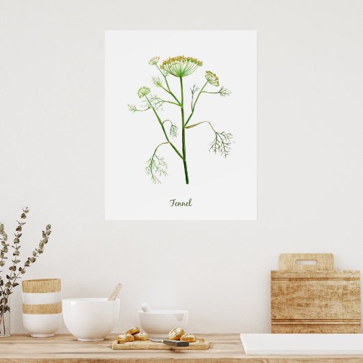 Waterverf Herb Fennel Illustratie Poster (Keuken)