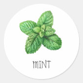 Waterverf Herb Mint Ronde Sticker (Voorkant)