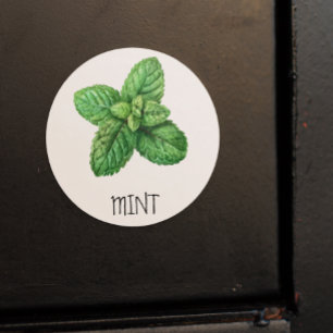 Waterverf Herb Mint Ronde Sticker