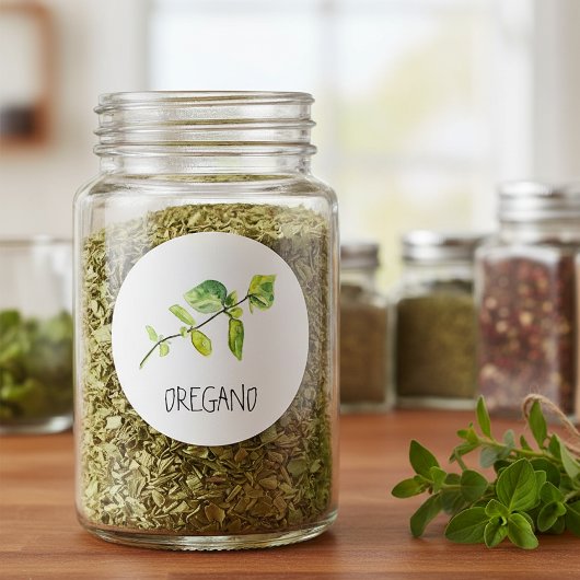 Waterverf Herb Oregano Ronde Sticker