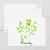 Waterverf Herb Parsley Illustration Briefkaart (Voorkant / Achterkant)