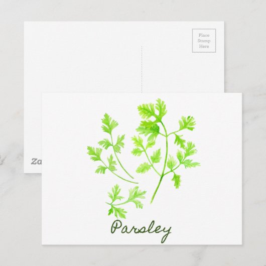 Waterverf Herb Parsley Illustration Briefkaart (Voorkant / Achterkant)
