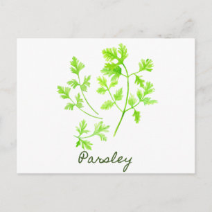Waterverf Herb Parsley Illustration Briefkaart