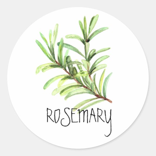 Waterverf Herb Rosemary Ronde Sticker (Voorkant)