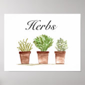 Waterverf Herbs Thyme Rosemary Parsley Planten Poster (Voorkant)