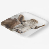 Waterverf Hereford Koe Portret Papieren Bordje (Gebogen)