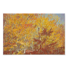 Waterverf Herfst Foilage Foto Afdruk