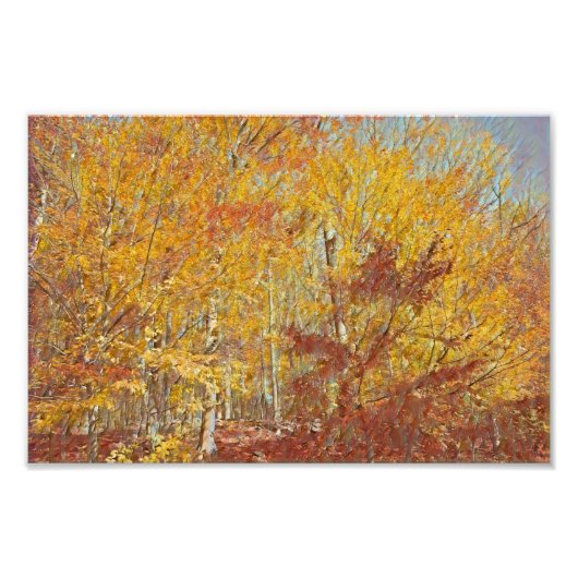 Waterverf Herfst Foilage Foto Afdruk (Voorkant)