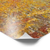 Waterverf Herfst Foilage Foto Afdruk (Hoek)