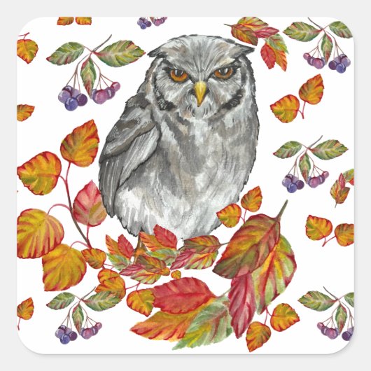 Waterverf herfst mooie uil en blaadknop vierkante sticker (Voorkant)