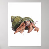 Waterverf Hermit Crab Crustaceancore Poster (Voorkant)