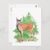 Waterverf Herten, Dierlijke Natuur Wildlife Briefkaart (Voorkant / Achterkant)