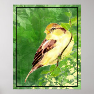 Waterverf Het Schilderen van Sparrow Bird in Tree Poster
