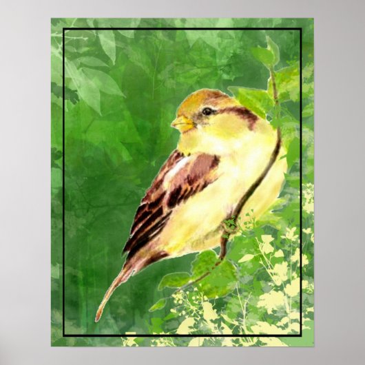Waterverf Het Schilderen van Sparrow Bird in Tree Poster (Voorkant)