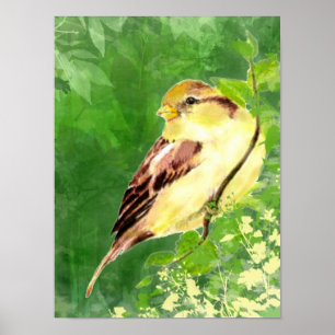 Waterverf Het Schilderen van Sparrow Bird in Tree Poster