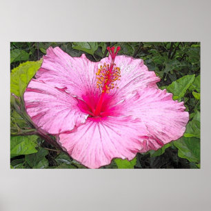 Waterverf Hibiscus Print
