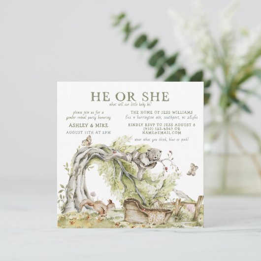 Waterverf Hij of zij Beer Gendergelijkheid onthull Kaart (Staand voorkant)