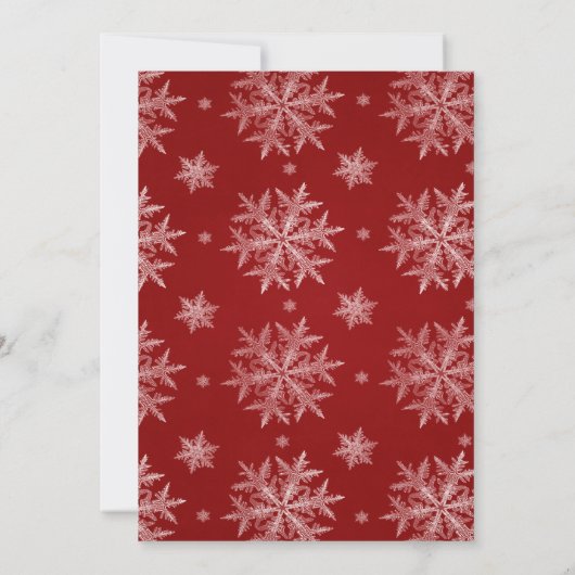 Waterverf Holly Berry Greenery Bachelorette Kaart (Achterkant)